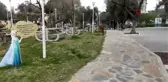Söke Belediyesi sokak hayvanlarını unutmadı