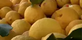 Semt pazarlarında patates ve soğan fiyatları tavan yaptı