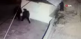 Kablo hırsızları önce kameraya sonra polise yakalandı