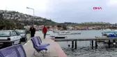 İZMİR Foça'da sahiller hafta içinde de yasaklandı