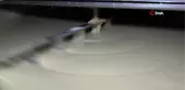 Meşhur Velimeşe bozası üreticisinden 