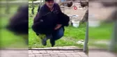 Yaşlı adamın eşek yavrusuyla salıncak keyfi