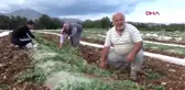 EDİRNE Kuyruklarda bekleyenleri 'Gönüllü tedbir ekibi' uyarıyor