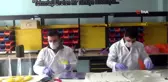 Hakkari'de siperlik maske üretimi tüm hızıyla sürüyor