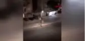 Karantina yasağına takılmamak için karton kılığına girdi