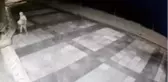 Cemevinden bağış kutusu çalan hırsız kameraya yakalandı