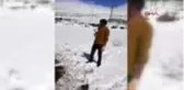 Kardan koronavirüs yaptılar