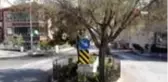 Yolun ortasında tek kaldı, görenler şaşkına dönüyor