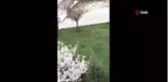 Yasağa uymayan gençler ve polis arasında kovalamaca yaşandı