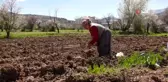 76 yaşındaki eşi korona tedbirlerinden dolayı çıkamayınca tarlasını tek başına çapalayıp, ekiyor