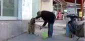 GAZİANTEP Hayvansever aç kalan sokak hayvanlarını besledi