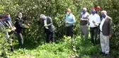 MERSİN Limon üreticileri, ihracatın başlamasını istiyor