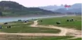 GÖL KENARINDA PİKNİK YAPIP BALIK TUTTULAR