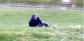 Maganda kurşunuyla değil kendi kendini vurmuş