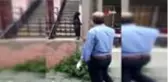 Demir korkuluğa saplanan kedi kurtarıldı