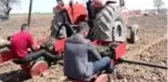Edirne'de Lavanta Ekimi yapıldı