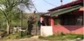 SAKARYA Şehit babası ineğini kampanyaya bağışladı