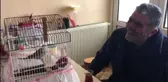 Sokağa çıkamayan yaşlı adamın muhabbet kuşu isteği yerine getirildi