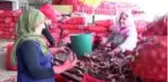 ADANA KORONAVİRÜS NEDENİYLE HALDE FİYATLAR YARI YARIYA DÜŞTÜ