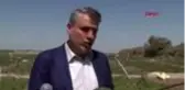 ADANA Barut Karpuz üreticileri 'satış' sorunu yaşayabilir