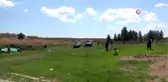 Jandarma yaşlı adamın koyunlarını kırktı