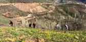 Şemdinlililerin bahar mesaisi başladı