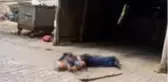 Kardeşlerin arazi kavgası kanlı bitti! Yengesini yaralayan zanlı, kardeşi ve yeğenini öldürdü