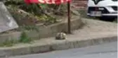 Sarıyer'de bomba süsü verilmiş pankart uzman ekiplerce patlatıldı