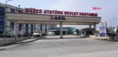 Yabani arıların saldırdığı kadın hastanelik oldu