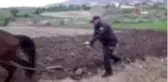 Bekçi, kara sabanla tarla sürdü