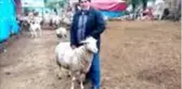 'Türkiyem' kampanyasına koyunlarını bağışladılar