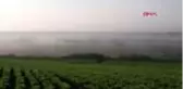 DİYARBAKIR Bıyıklı kamışçın, bilim insanlarını heyecanlandırdı