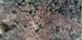 Kovid-19 dolayısıyla getirilen kısıtlamaların doğal yaşama da yansımaları oldu