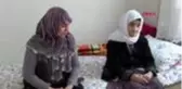 ŞANLIURFA'NIN ASIRLIK ÇINARLARI YAŞADIKLARINI ANLATTI