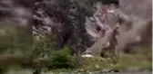 Zabıtadan Fırtına Deresi'nde köpek kurtarma operasyonu