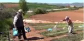 Çiftçiler üretmeye devam ediyor