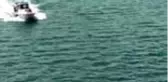 Bir botta erkek cesedi bulundu
