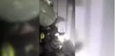 Boruya sıkışan kediyi itfaiye kurtardı