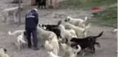 KAYSERİ Patiköy'de 'koronavirüs' sessizliği