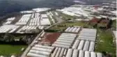 Korona virüse rağmen üretimin devam ettiği Göçbeyli'deki seralar görüntülendi