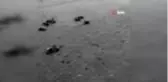 Vicdansız sürücüsü Eminönü'nde güvercinleri ezdi