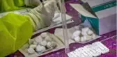 Antikor testi nedir, koronavirüsle mücadelede ne kadar etkili bir yöntem?