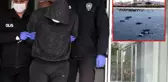 Eminönü'nde güvercinleri ezen şahıs serbest bırakıldı
