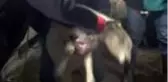 Korona virüs üretimi kısıtlayamadı