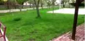Okul bahçesindeki çiçeklere zarar veren tilki yakalandı