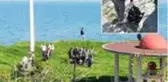Ordu'da 2 gündür kayıp olan adamın cansız bedeni, denizde taş dolu çantaya zincirli halde bulundu