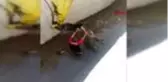 MARDİN Sulama kanalına düşen eşeği itfaiye kurtardı