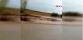 Kırıkkale'de tarım arazileri su altında kaldı