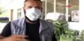 MERSİN Erik üreticilerine boylama makinesi verildi