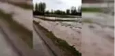 Sağanak ve dolu tarım alanlarına zarar verdi